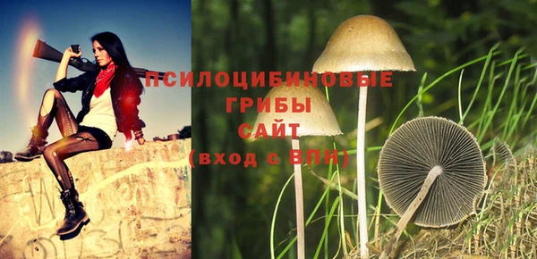 дурь Россошь