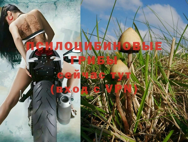 дмт Алзамай